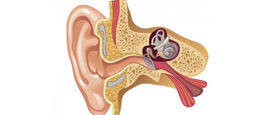 Ear Tube Surgery